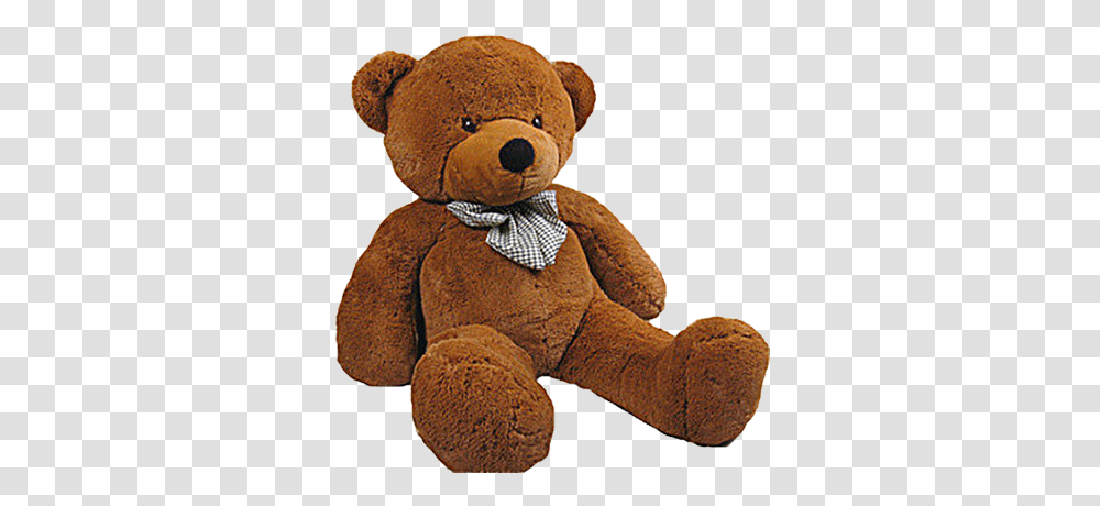Teddy Bear, Character, Toy, Tie, Accessories Transparent Png