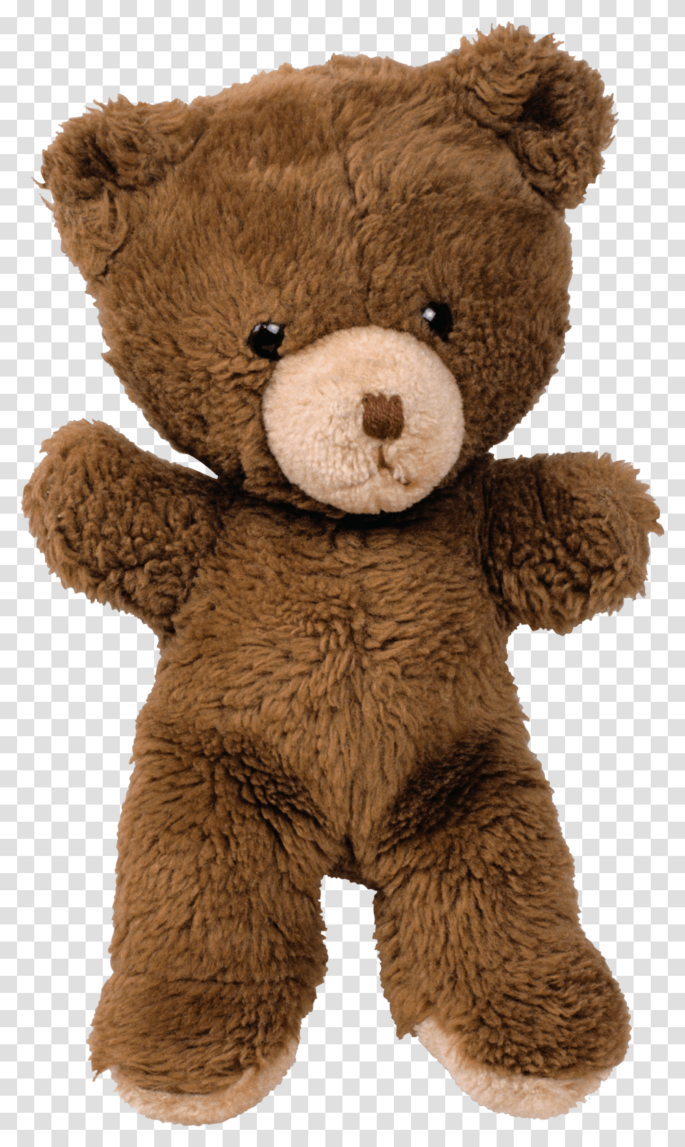 Teddy Bear Stuffed Bear Transparent Png