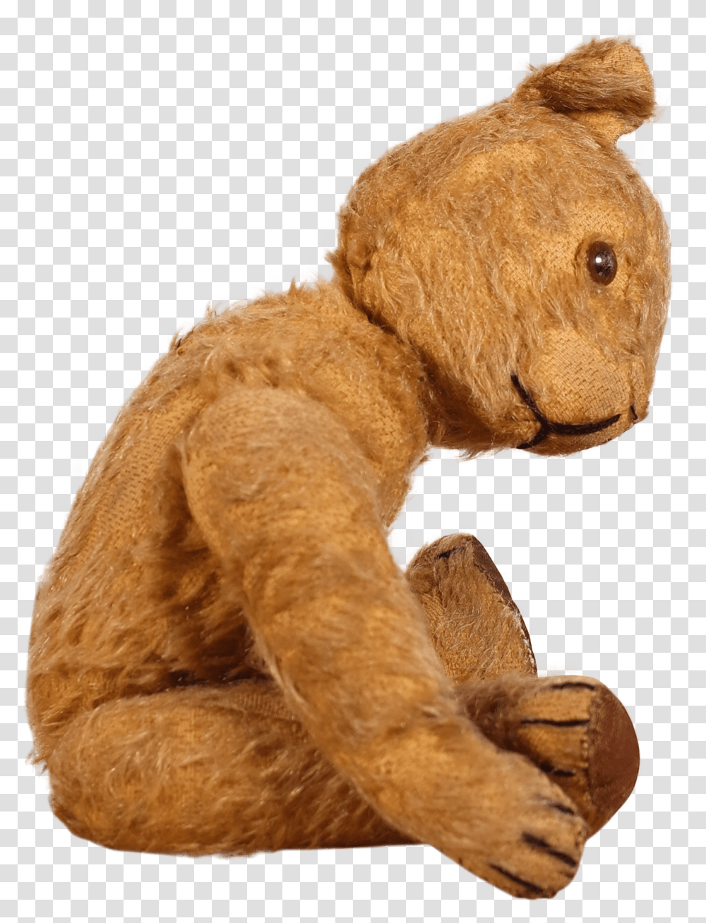 Teddy Bear, Toy, Plush, Mammal, Animal Transparent Png