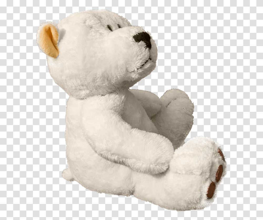 Teddy Teddy Bear Bear Soft Toy Sweet Cute White Teddy Bear, Plush, Pillow, Cushion Transparent Png