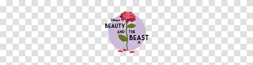 Teenage Drama Workshop Presents Disneys Beauty And The Beast Jr, Plant, Flower, Blossom, Petal Transparent Png