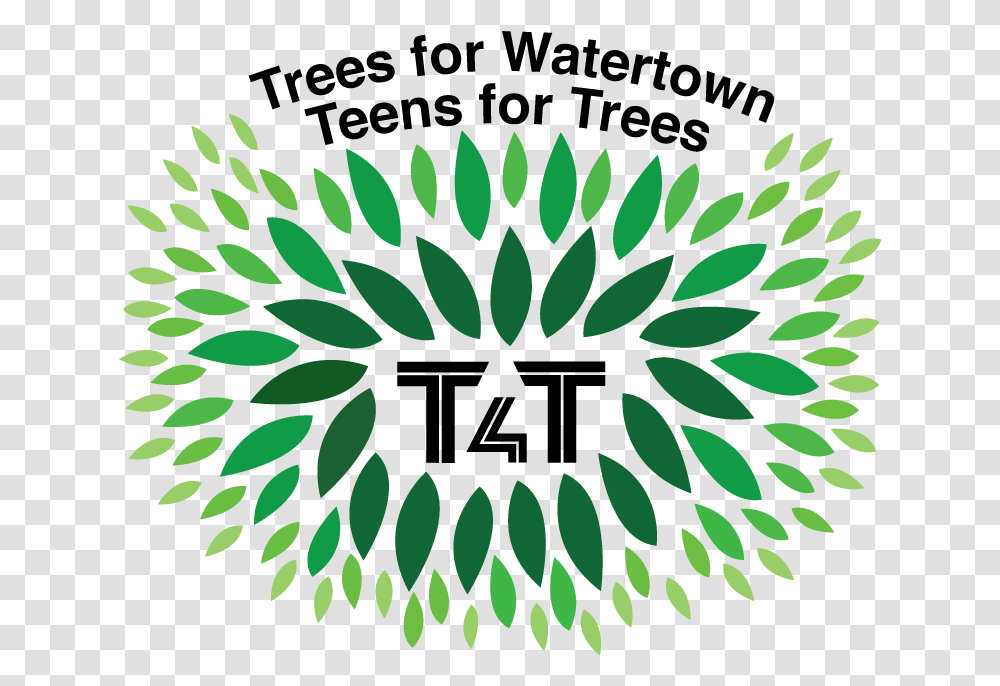 Teens For Trees Sign, Plant, Flower, Blossom, Green Transparent Png