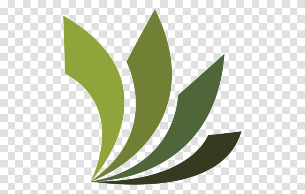 Teens Syosset Library Logo, Plant, Aloe, Leaf, Flower Transparent Png