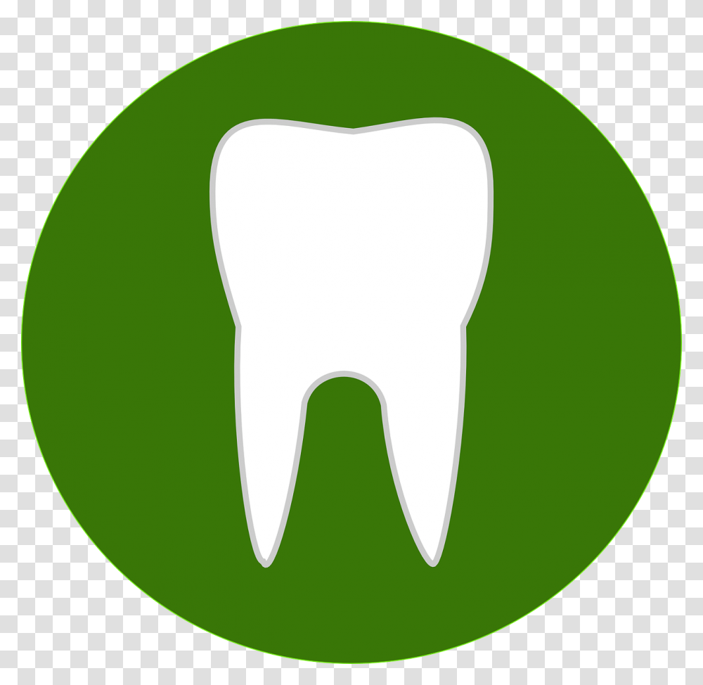 Teeth Dental Green Medicine Medical Tooth Peercoin Ppc, Label, Logo Transparent Png