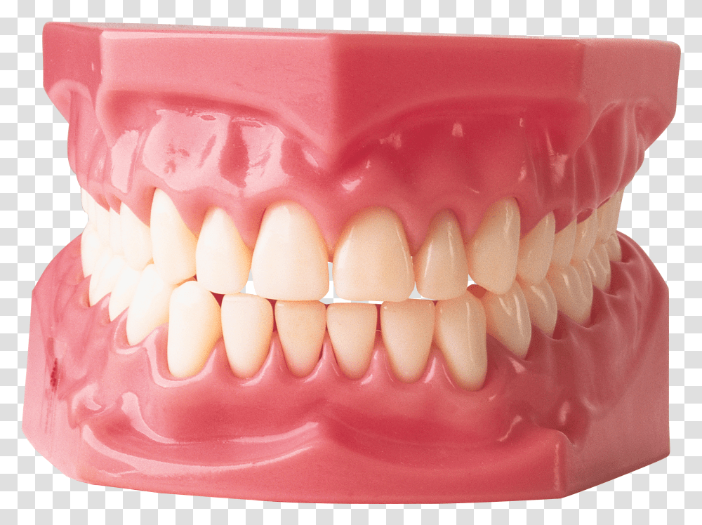 Teeth Image Teeth Transparent Png