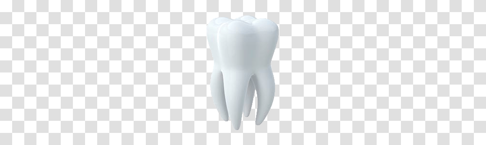 Teeth, Person, Mannequin, Light Transparent Png