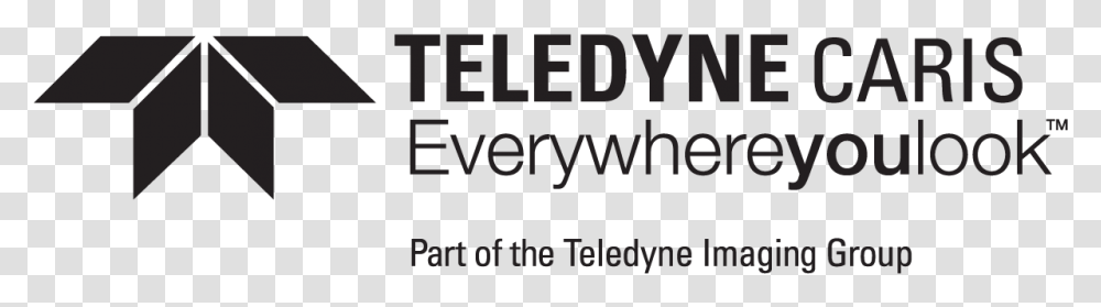 Teledyne, Alphabet, Word, Face Transparent Png