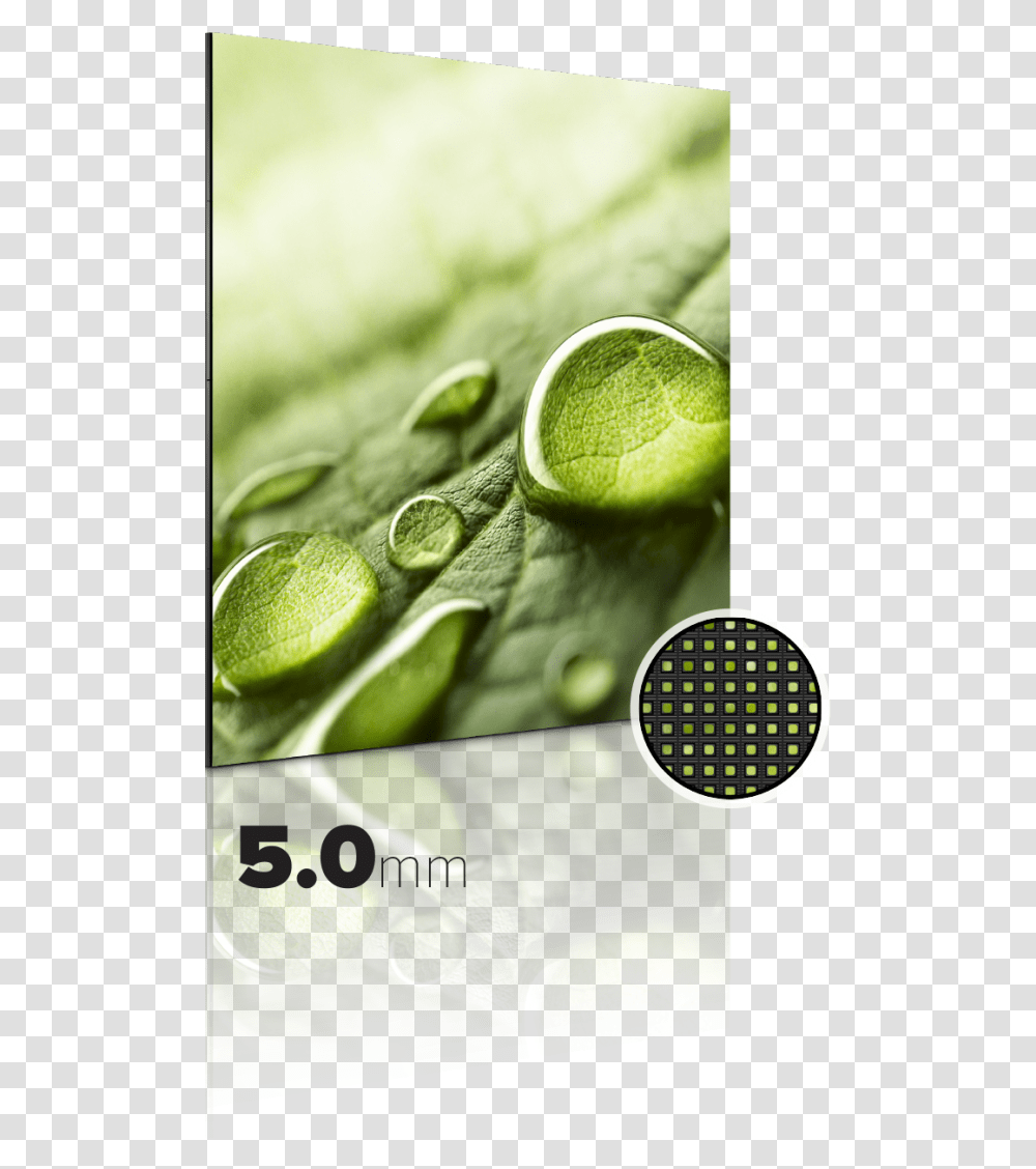 Television, Droplet, Leaf, Plant, Tennis Ball Transparent Png