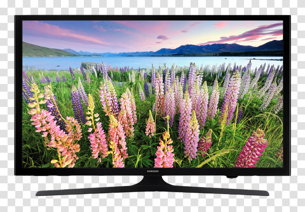 Television, Electronics, Monitor, Screen, Display Transparent Png