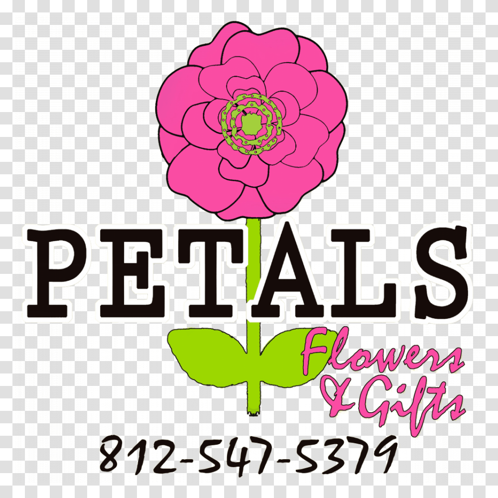 Tell City Florist Flower Delivery, Plant, Dahlia, Carnation Transparent Png