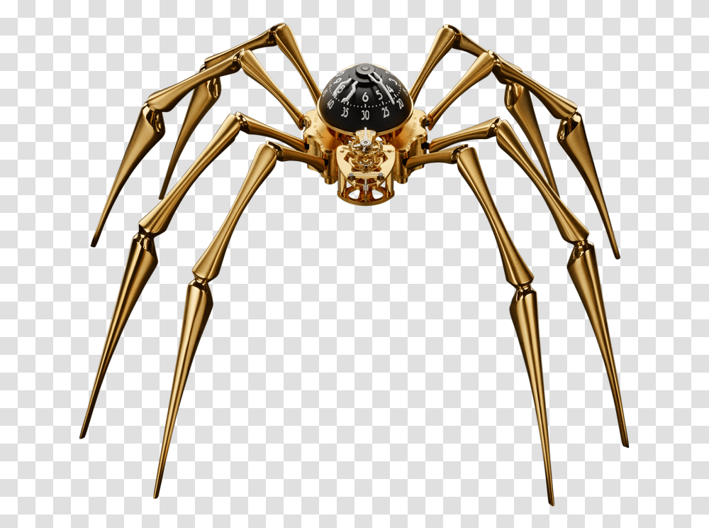 Telling The Time With Two Hands And Eight Legs L Epee, Bow, Animal, Invertebrate, Spider Transparent Png