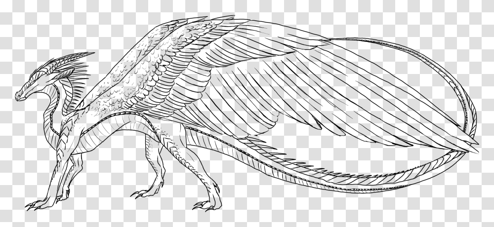 Tempestwings Wof, Gray, World Of Warcraft Transparent Png