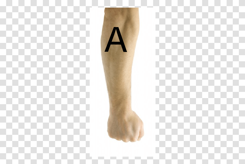 Temporary Tattoo, Ankle, Footwear, Knee Transparent Png