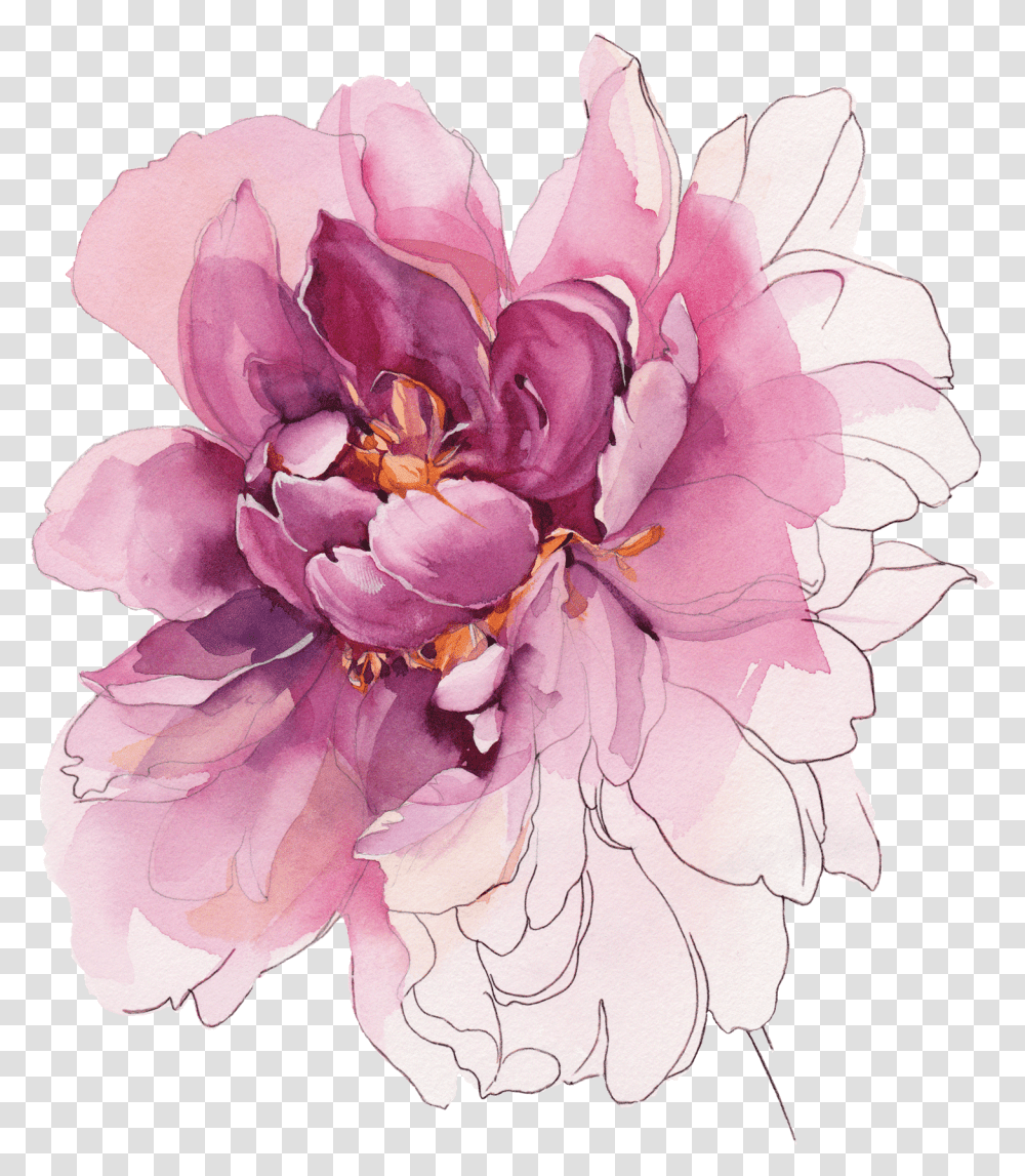 Temporary Tattoos Buy Watercolor Peony Color, Plant, Flower, Blossom, Rose Transparent Png