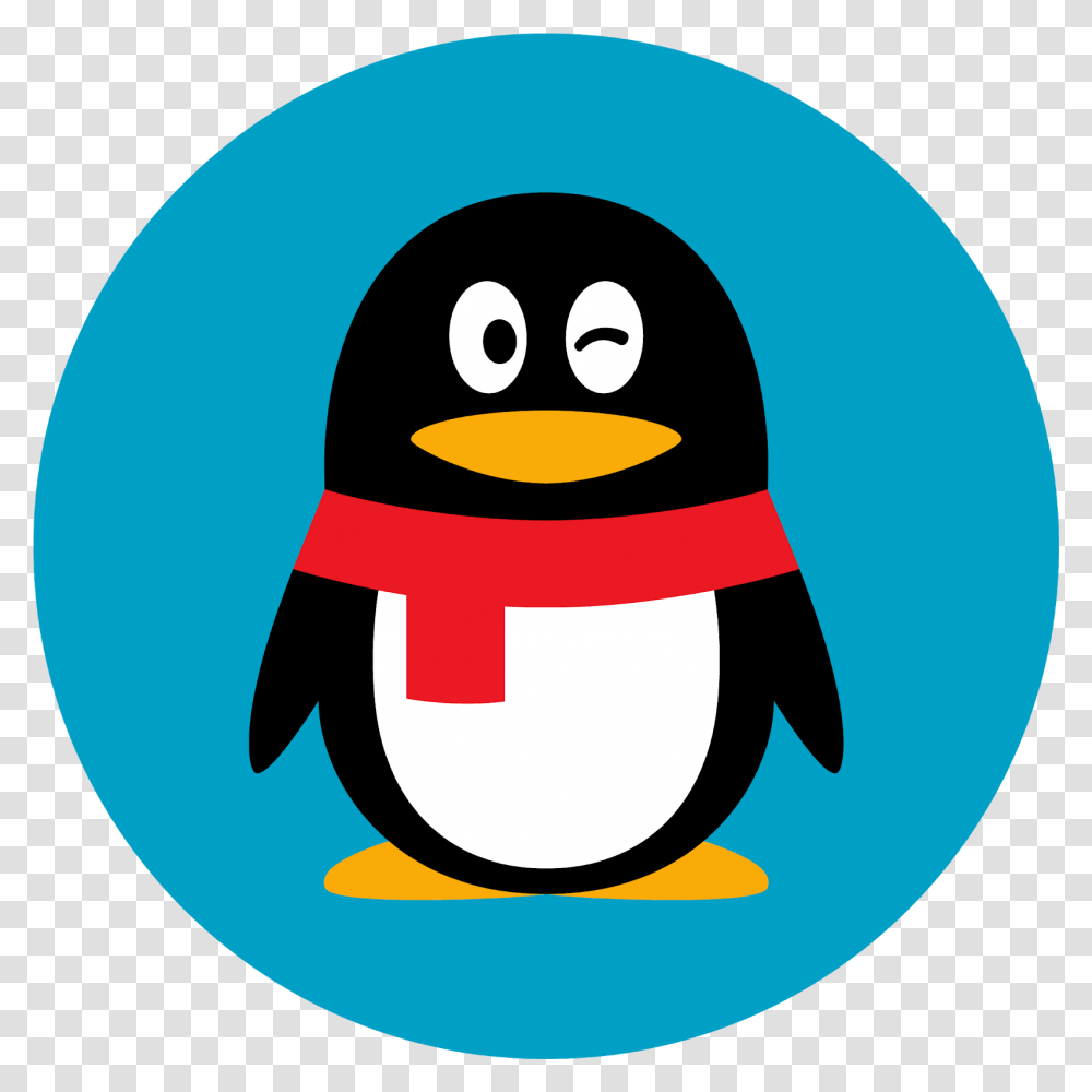 Tencent Qq Free Qq Logo, Penguin, Bird, Animal, Angry Birds Transparent Png