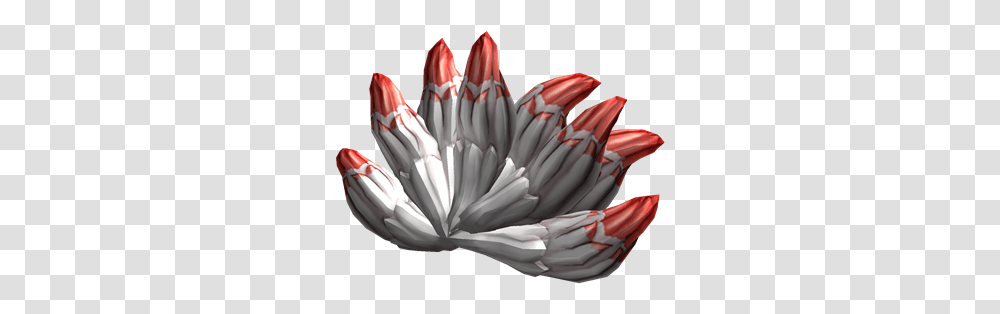 Tenko The Nine Nine Tails Roblox, Flower, Plant, Blossom, Dahlia Transparent Png