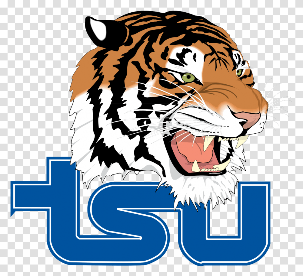 Tennessee State Tigers And Lady Tigers, Wildlife, Animal, Mammal, Person Transparent Png