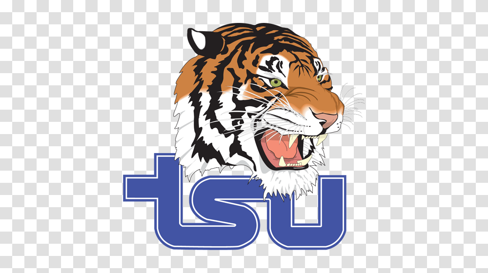 Tennessee State Tigers Schedule, Wildlife, Animal, Mammal, Poster Transparent Png