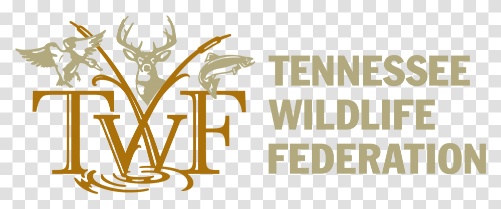 Tennessee Wildlife Federation, Alphabet, Logo Transparent Png