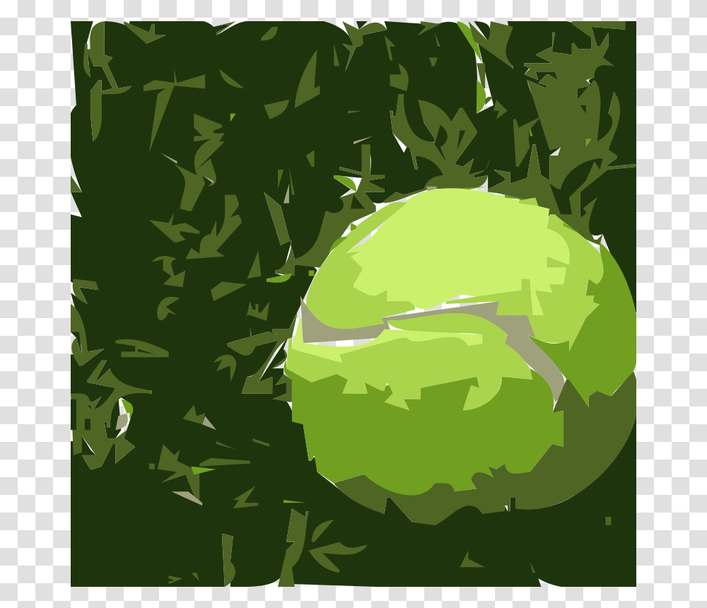 Tennis, Sport, Green, Plant, Cabbage Transparent Png