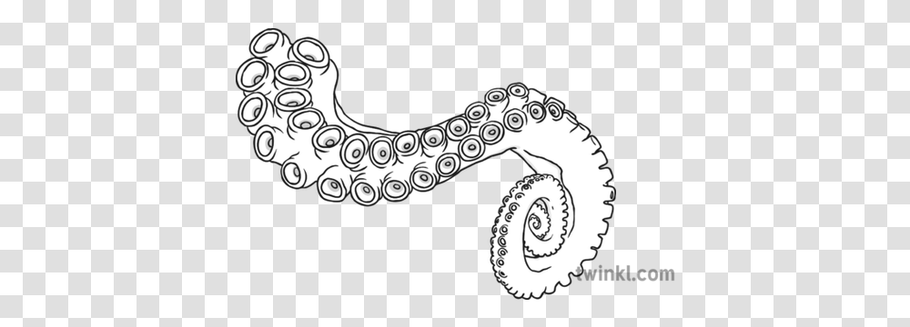 Tentacle Black And White Illustration Twinkl Line Art, Pattern, Animal, Paisley, Sea Life Transparent Png