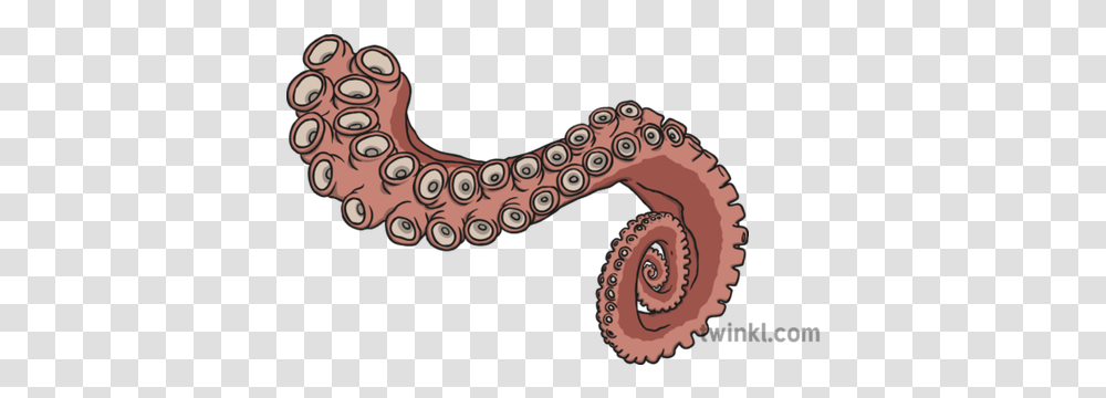 Tentacle Illustration Twinkl Earthworm, Animal, Pattern, Invertebrate, Sea Life Transparent Png