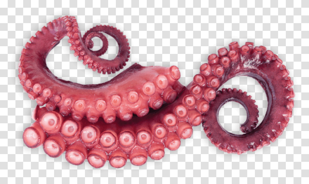 Tentacles Octopus Sticker Tentaculos De Pulpo, Invertebrate, Sea Life, Animal, Birthday Cake Transparent Png