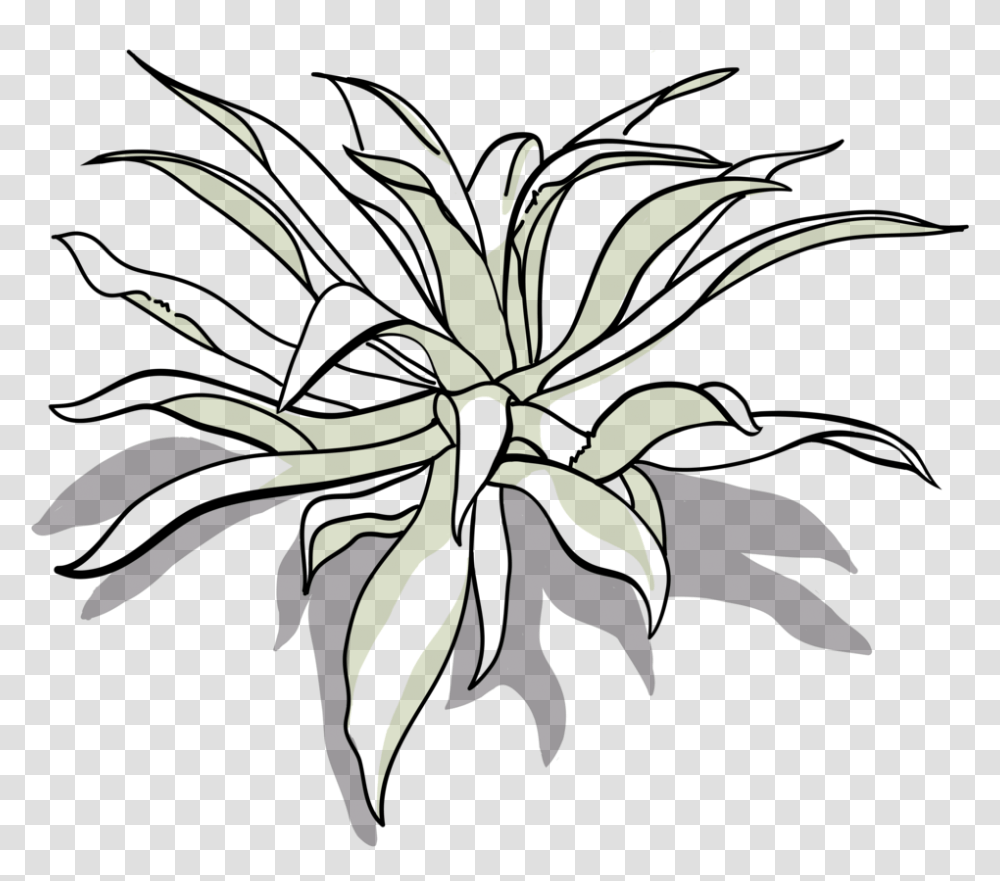 Tepeztate Drawing 01 Floral Design, Plant, Aloe, Leaf, Bird Transparent Png