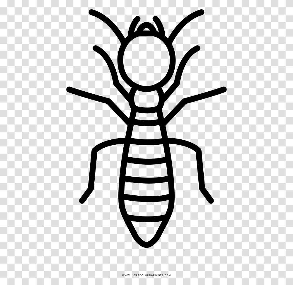 Termite Coloring, Gray, World Of Warcraft Transparent Png