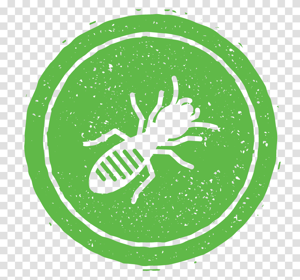 Termite Control And Pest Control In Nashville Tn Illustration, Ant, Insect, Invertebrate, Animal Transparent Png