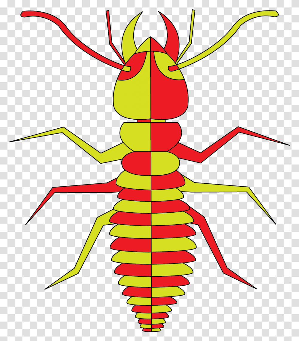 Termites Ant, Insect, Invertebrate, Animal Transparent Png
