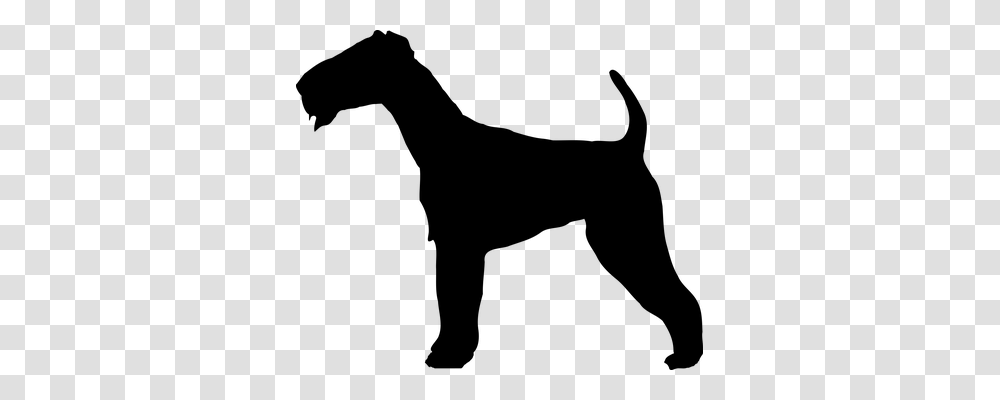 Terrier Animals, Gray, World Of Warcraft Transparent Png