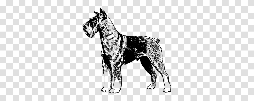 Terrier Technology, Gray, World Of Warcraft Transparent Png