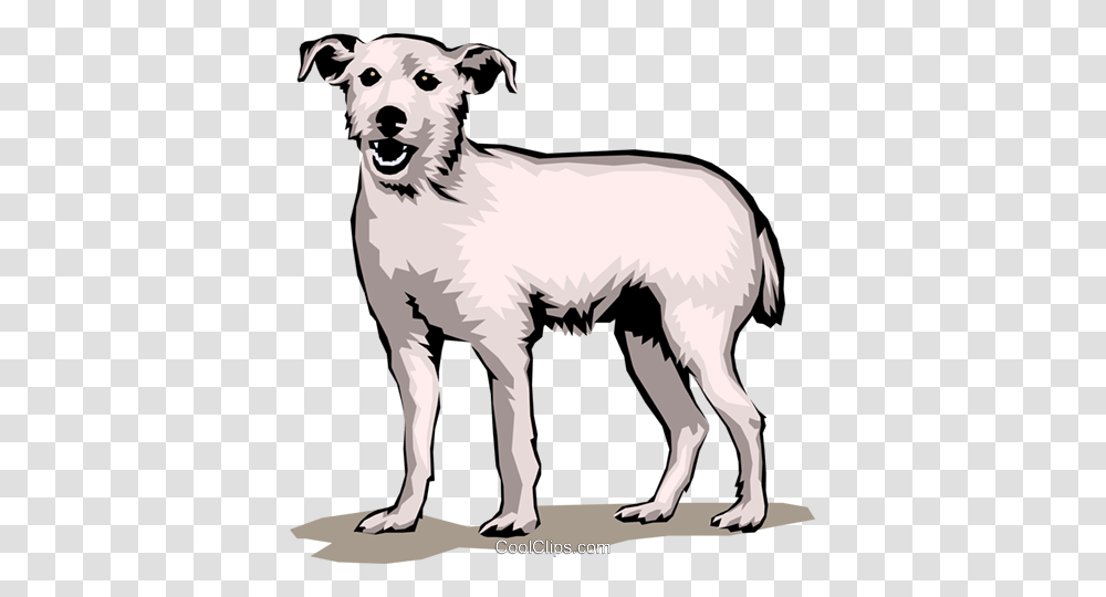 Terrier Dog Royalty Free Vector Clip Art Illustration, Pet, Canine, Animal, Mammal Transparent Png