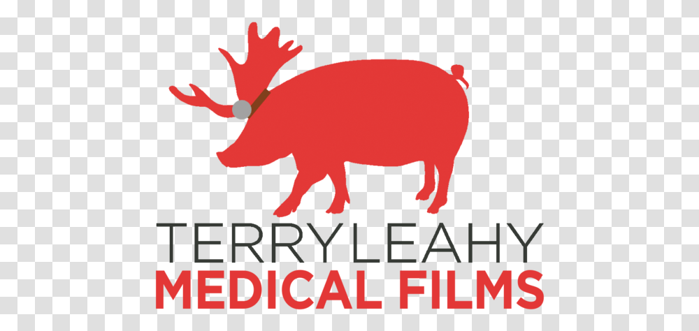 Terryleahy Medical Reindeer, Poster, Advertisement, Mammal, Animal Transparent Png