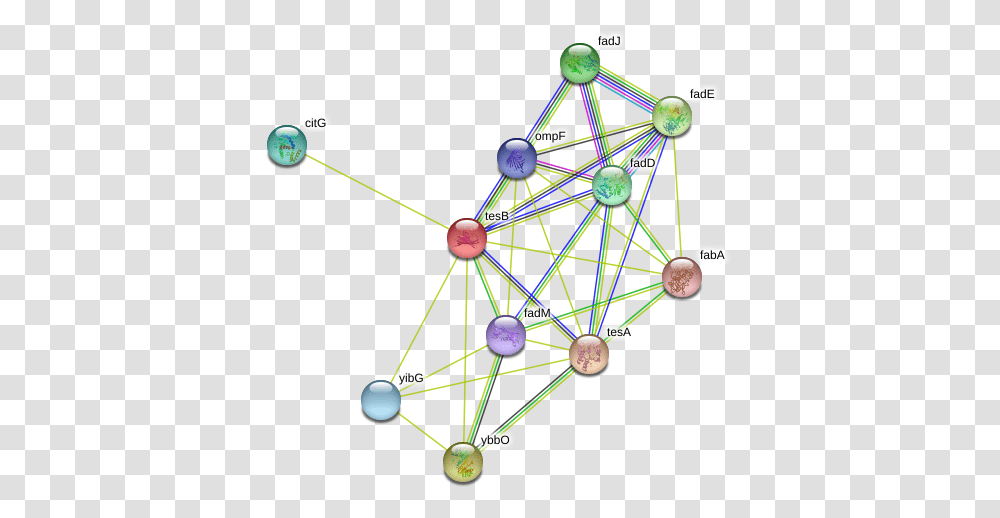 Tesb Protein Circle, Network, Chandelier, Lamp, Diagram Transparent Png