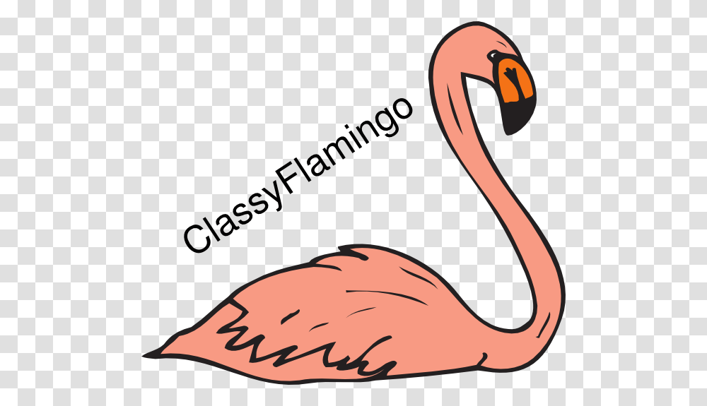 Tesla Coil Circuit, Bird, Animal, Flamingo, Beak Transparent Png