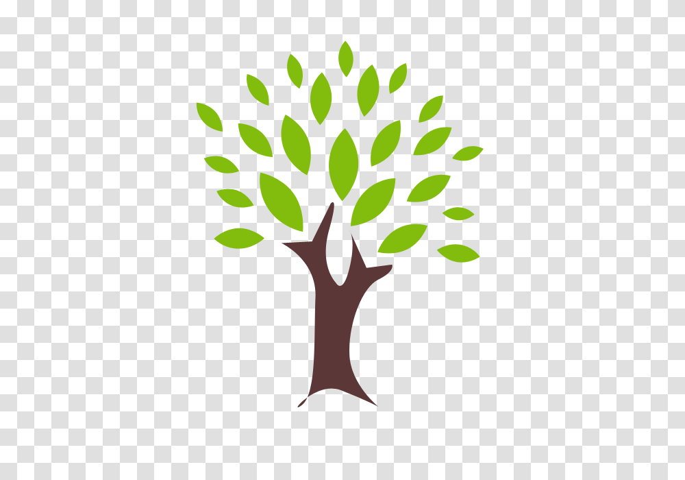 Test Gallery, Plant, Green, Tree Transparent Png