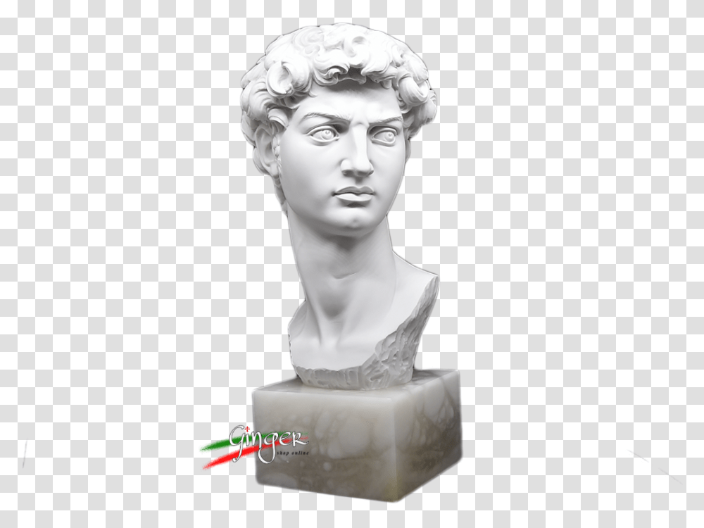 Testa Del Davi Di Michelangelo Statue Made In Italy Bust, Sculpture, Person, Human Transparent Png