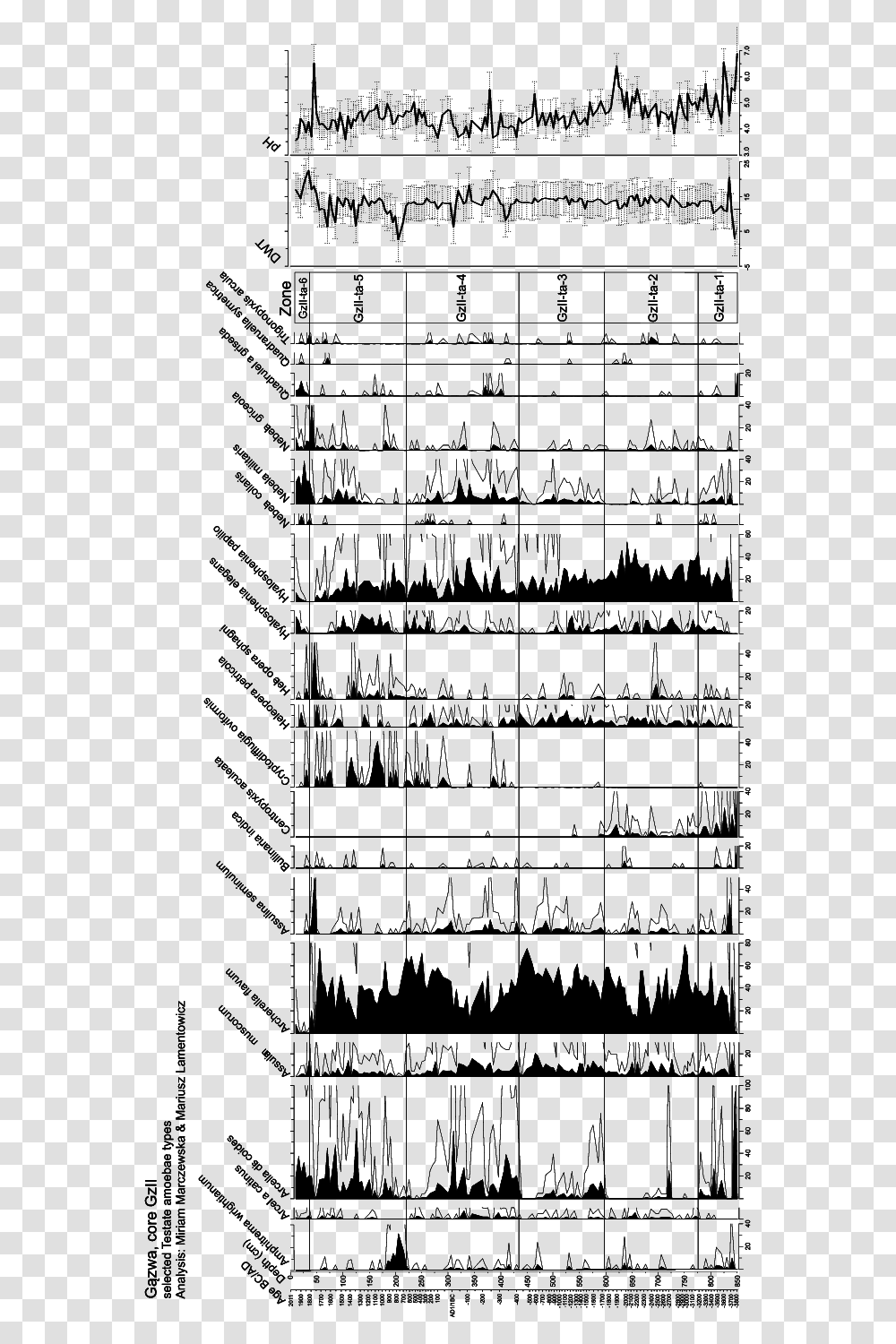 Testate Amoebae Percentages Are Shown In Black Five Times, Page, Word, Plot Transparent Png