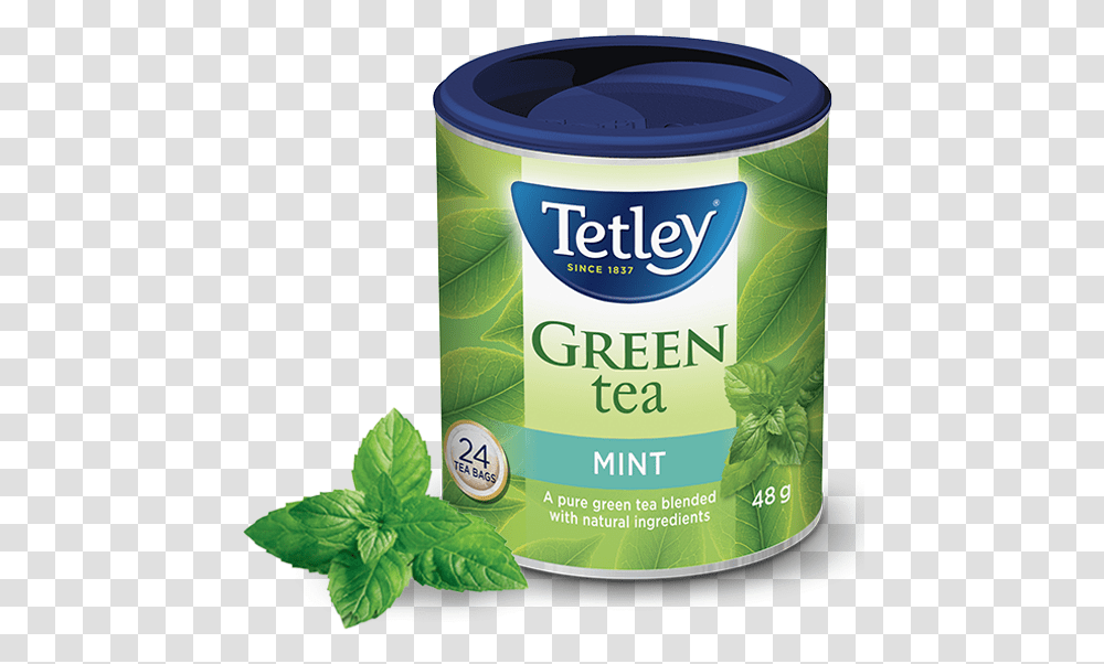 Tetley Mint Green Tea Tetley Mint Green Tea, Potted Plant, Vase, Jar, Pottery Transparent Png