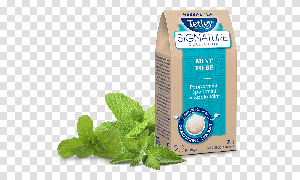Tetley Signature Collection Mint To Be Carton, Potted Plant, Vase, Jar, Pottery Transparent Png