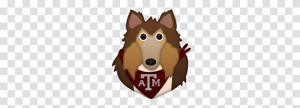 Texas Aampm, Mammal, Animal, Brown Bear, Wildlife Transparent Png