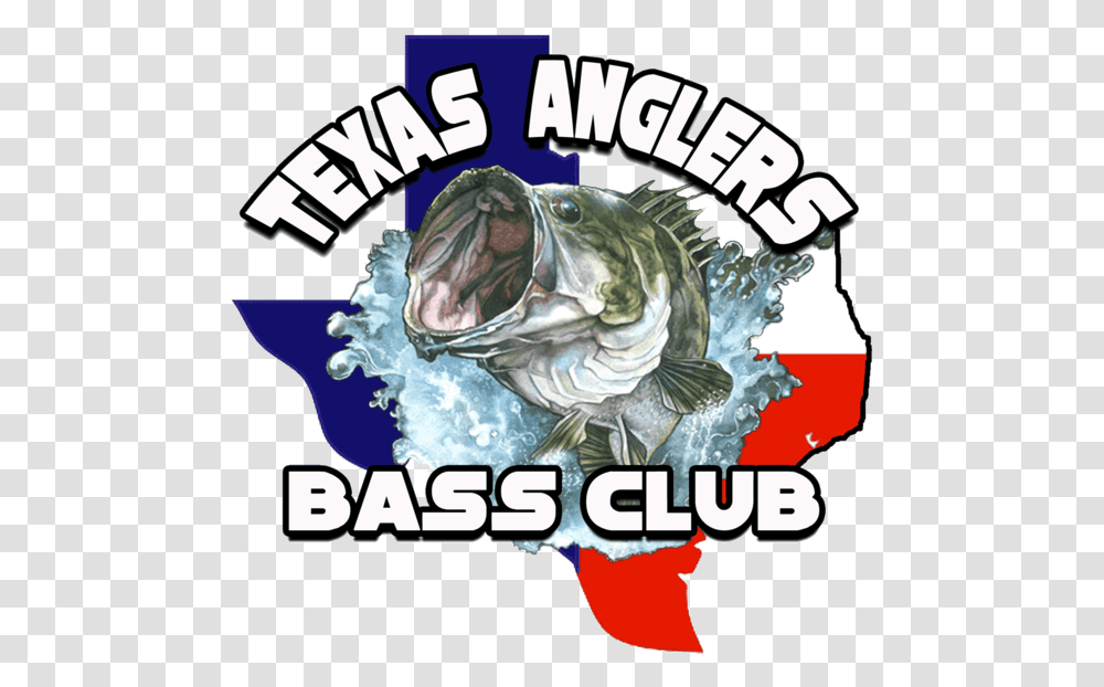 Texas Anglers Bass Club Noodling, Fish, Animal, Poster, Advertisement Transparent Png