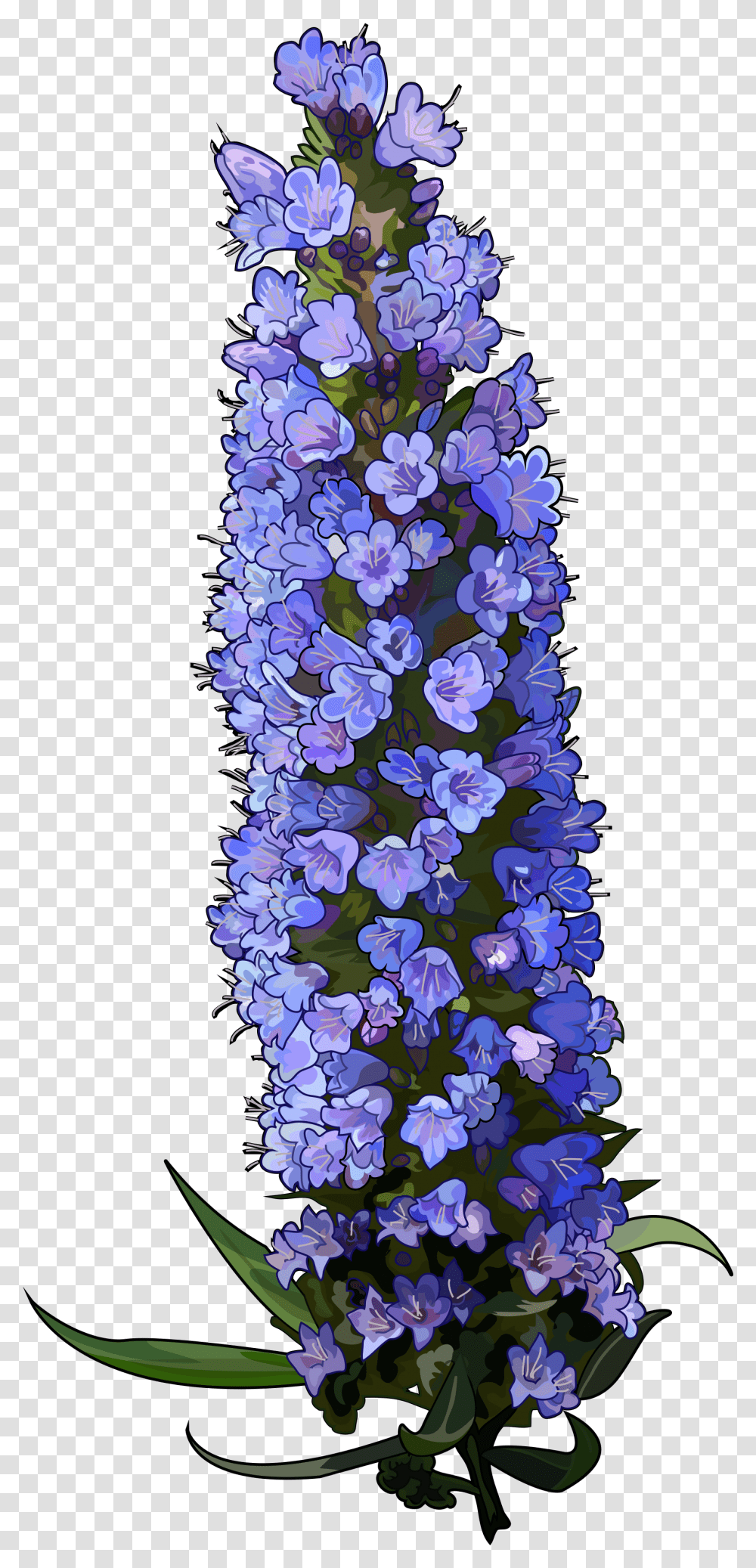 Texas Bluebonnet Download Bluebonnet, Plant, Flower, Tree, Flower Arrangement Transparent Png