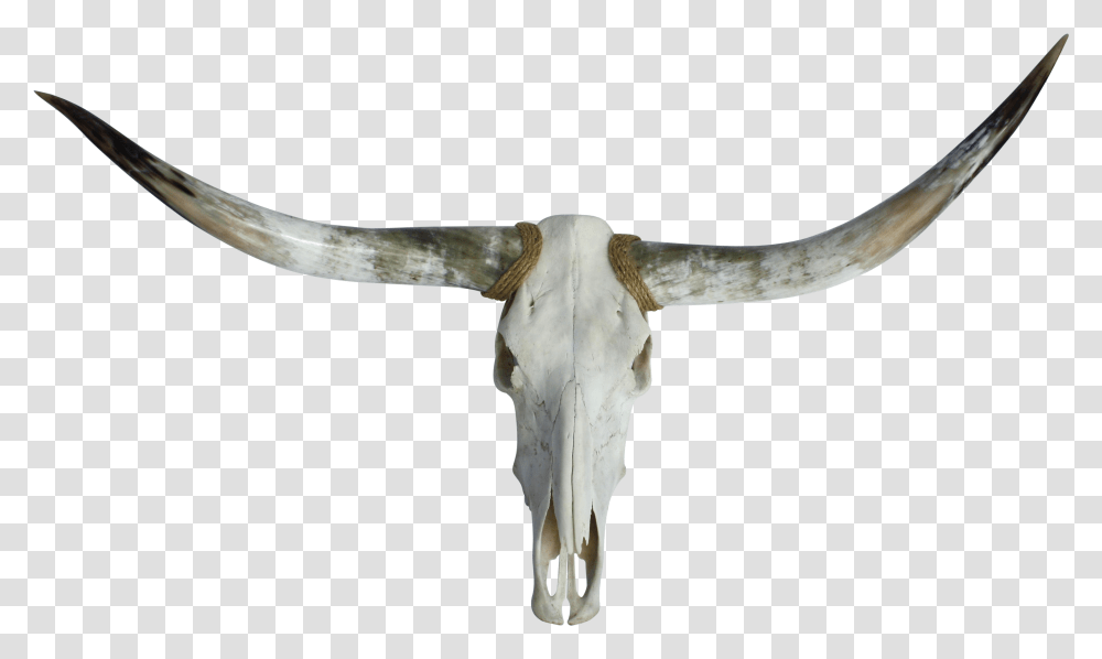 Texas Chairish Skull Skull, Axe, Tool, Longhorn, Cattle Transparent Png
