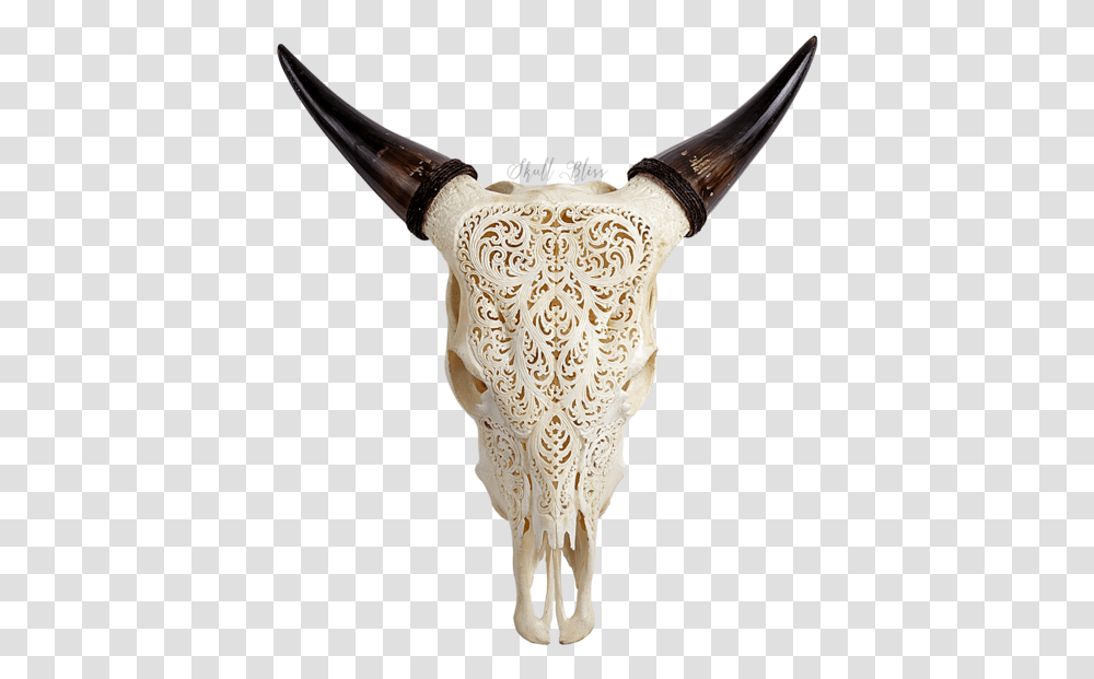 Texas Longhorn English Longhorn Animal Skulls Cow S Engraved Cow Skull, Ivory, Mammal, Bird, Hip Transparent Png