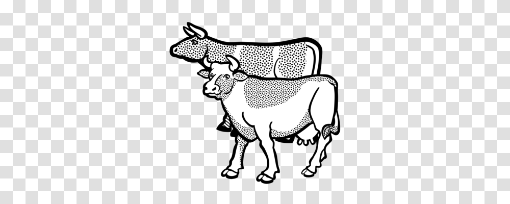Texas Longhorn English Longhorn Aurochs Ox Bull, Mammal, Animal, Cattle, Wildlife Transparent Png