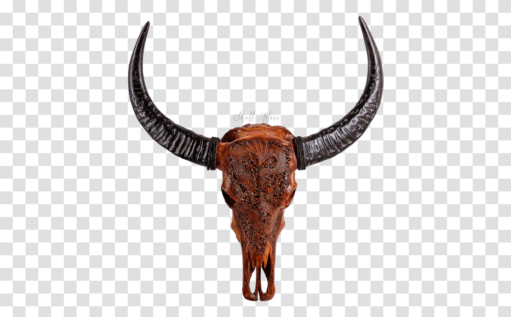 Texas Longhorn English Longhorn Skull Antique Buffalo Horns, Animal, Cattle, Mammal, Cross Transparent Png