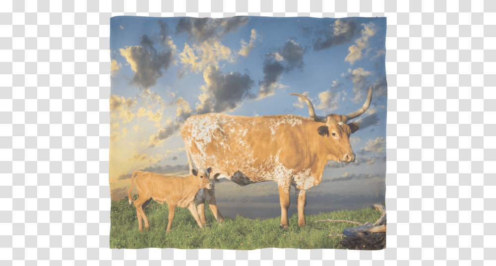 Texas Longhorn Fleece Blanket Calf, Cow, Cattle, Mammal, Animal Transparent Png
